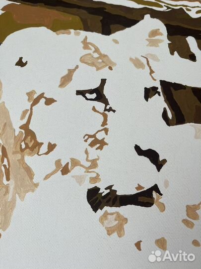 Картина по номерам. Холст 50х40