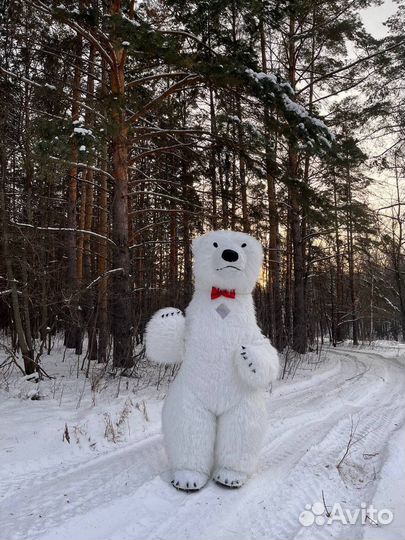 Мишка Умка на праздник