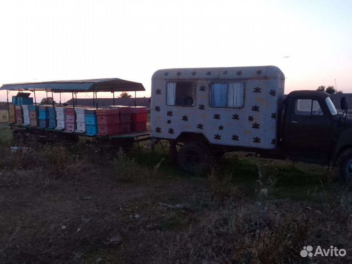 Пчелы улья пасеку