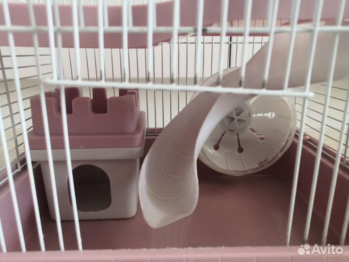 Клетка для джунгарского хомяка