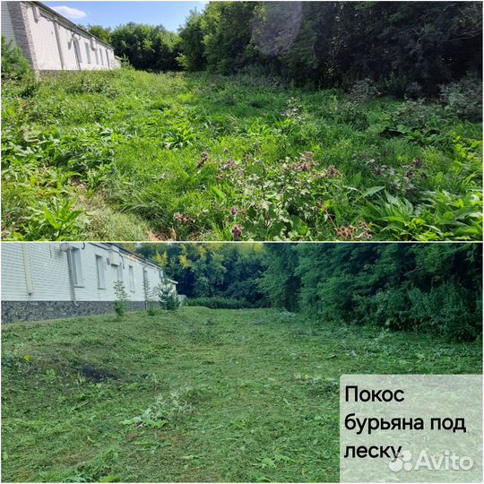 Покос травы спил деревьев кустарника