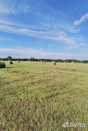 Сено в рулонах 2023 г