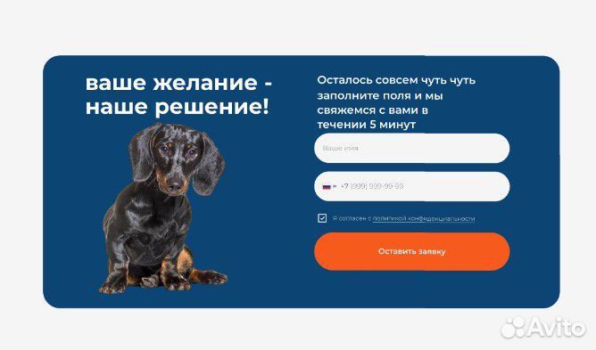 Разработка сайтов