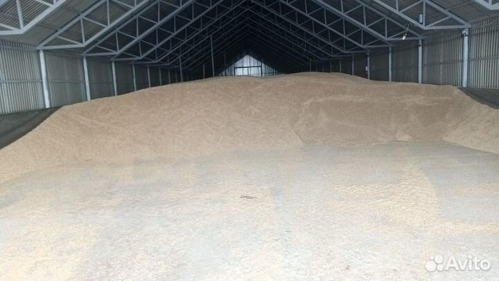 Зерно пшеница/ячмень/овес