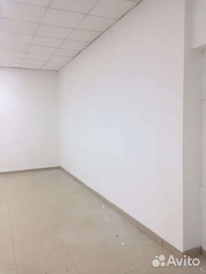 Шпаклевка, покраска, обои, ламинат, кварцинил