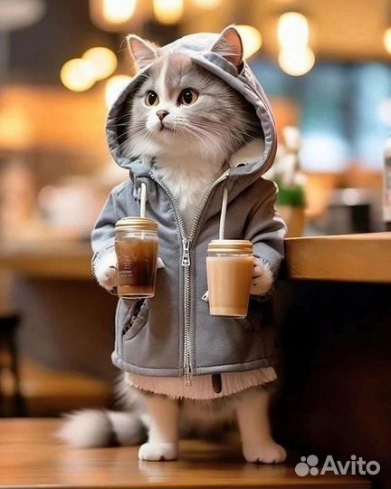 12 ноября приглашаем Вас в Гастротур