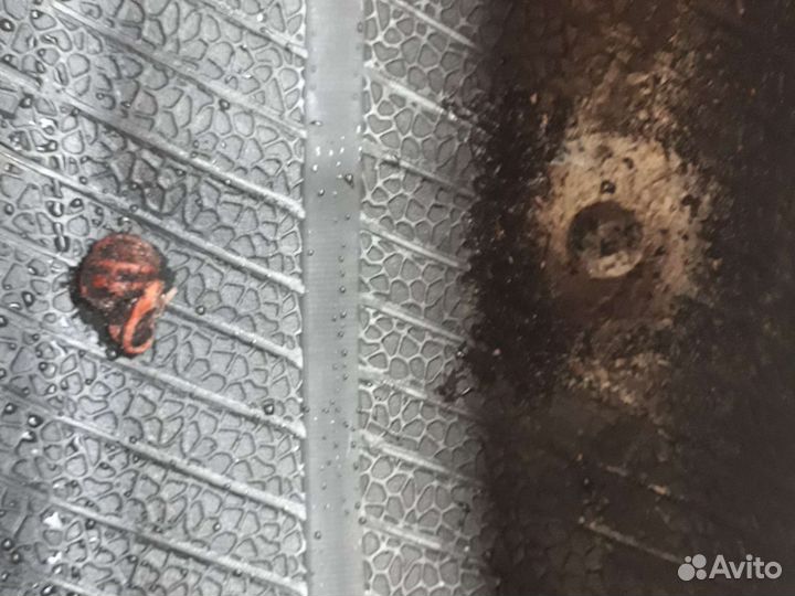 Nitto NT860 215/65 R16 98H