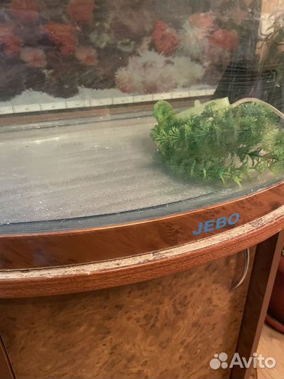 Аквариум с тумбой Джебо