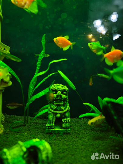 Аквариум с рыбками 150 литров