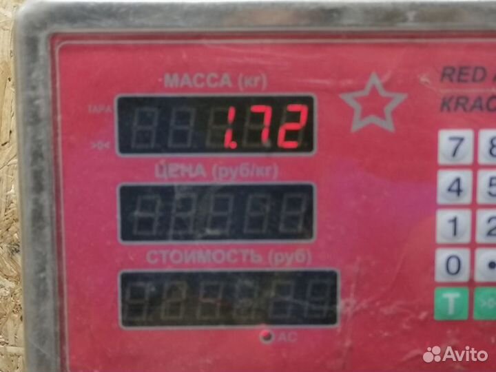 Шкив коленвала Skoda Octavia 2004 2013