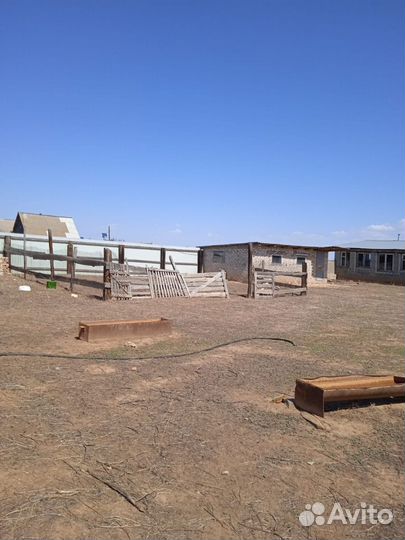Животноводческая ферма продаю