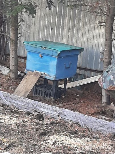 Улей для пчел бу, 10 штук