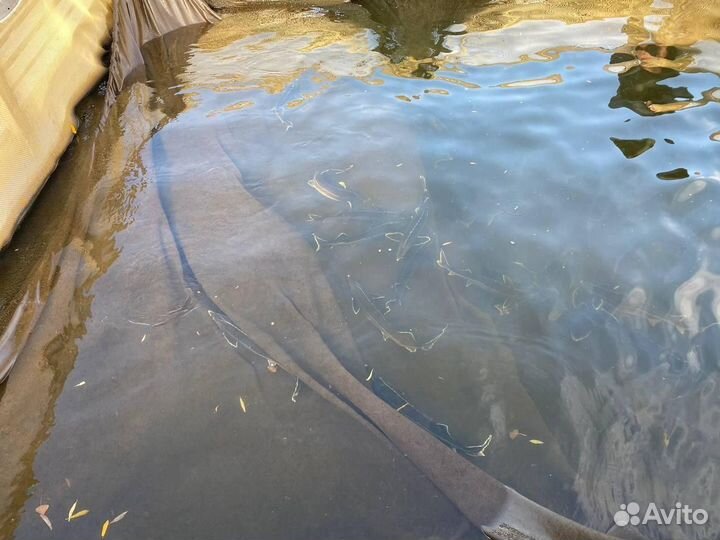 Садок для выращивания рыбы
