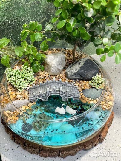 Флорариум бонсай мирсина мост дерево подарок букет