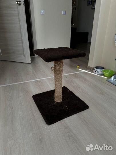 Когтеточка