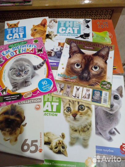 Журналы Filly, Земляничка и ее друзья