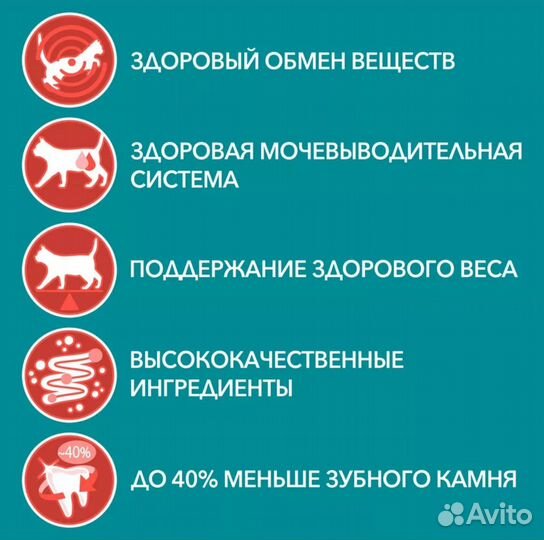 Влажный корм для кошек purina one