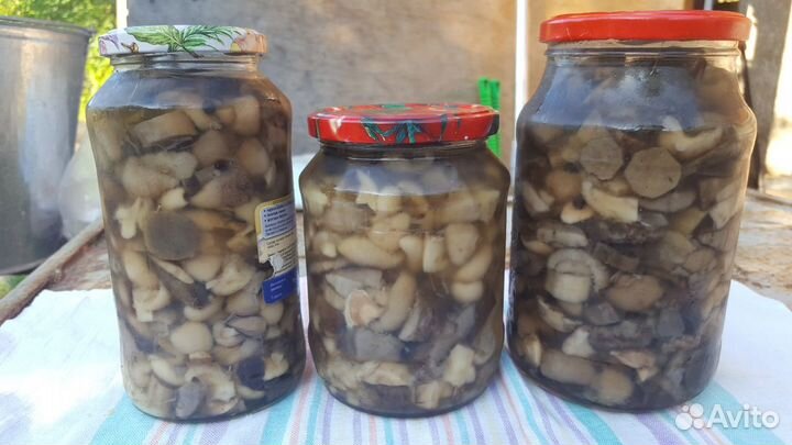 Соленые и маринованные грибы,огурцы