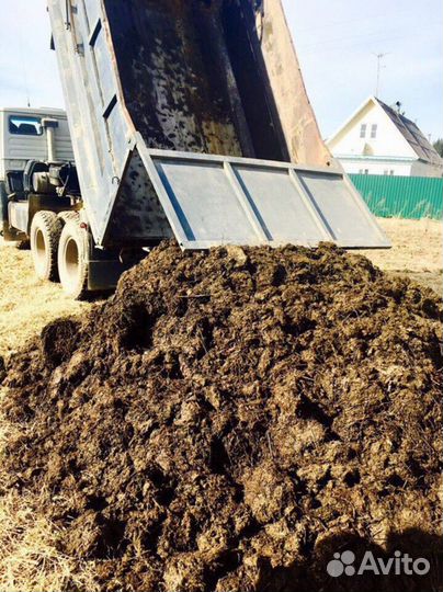 Перегной коровий