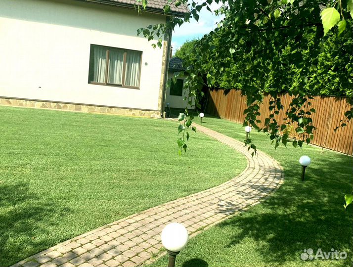 Рулонный газон 