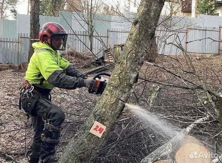 Удаление спил деревьев Расчистка участка