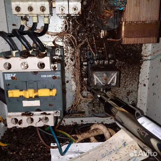 Уничтожение тараканов,муравьев. Безопасный метод