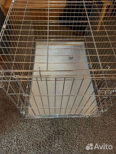 Клетка для собак аренда /прокат/продажа