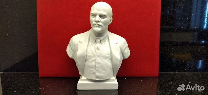 Бюст 