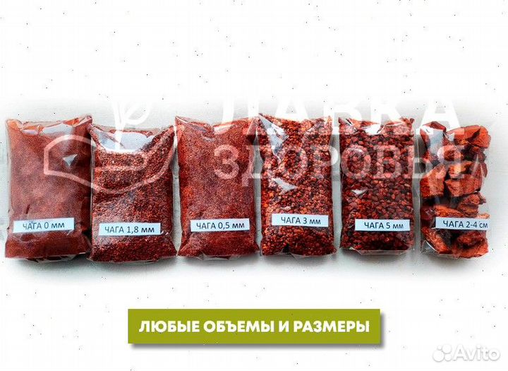 Чага сушеная опт. Любые объемы и виды