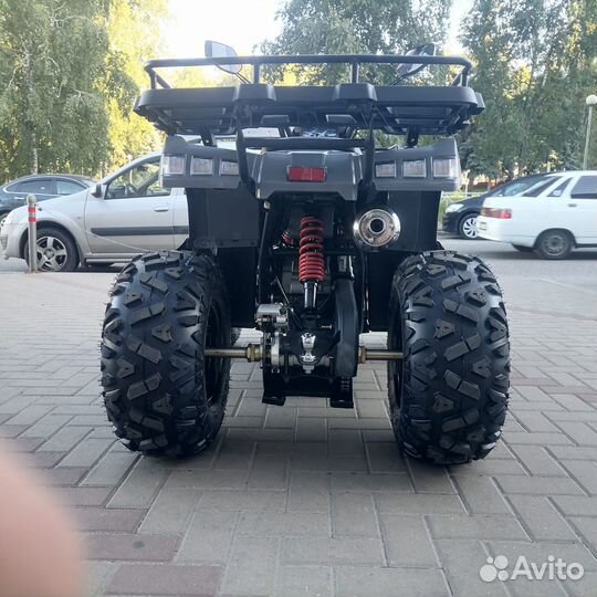Yacota warrior 200 (24402)