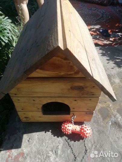 Собачья будка