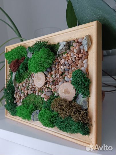 Картина из стабилизированного мха