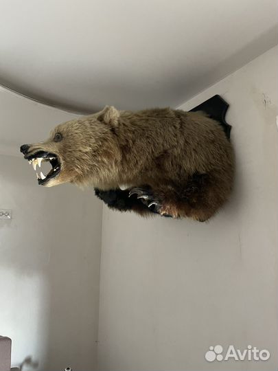 Чучело медведя имитация