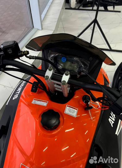 Утилитарный снегоход avantis