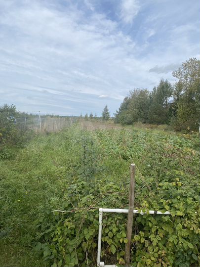 Дом 39,7 м² на участке 17,6 сот.