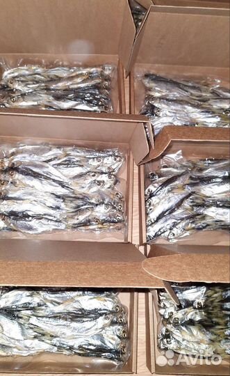 Рыбные семечки Уклейка вяленая. Шахты