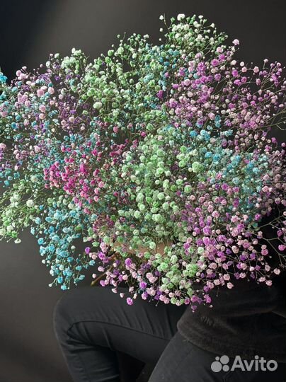 Цветы букеты гипсофилы гипсофила