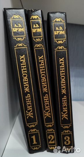 Энциклопедии для детей