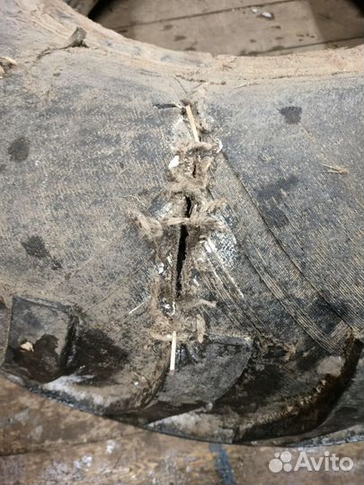 Ободрыши для караката