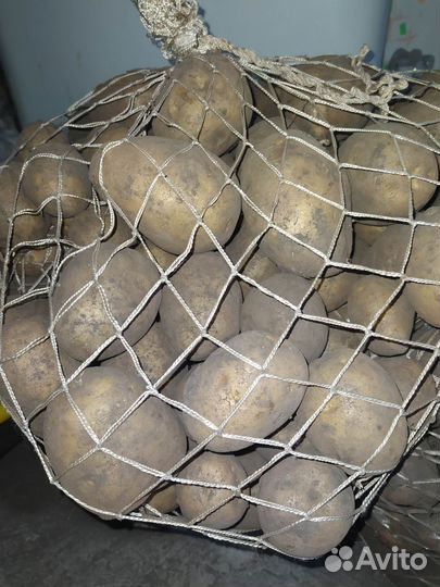 Продам картофель с доставкой
