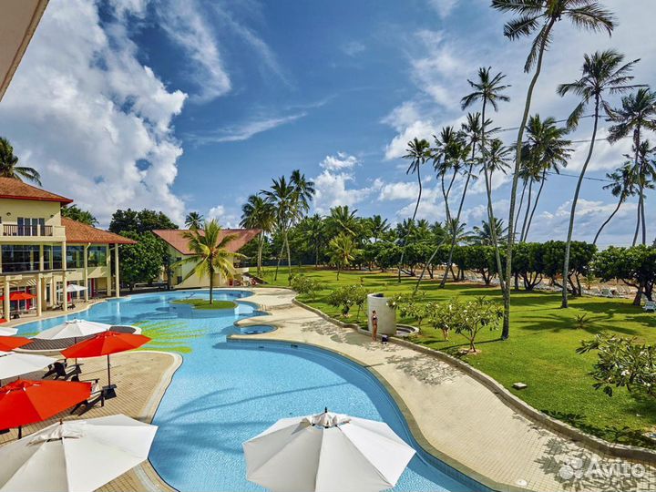 Туры на Шри-Ланку