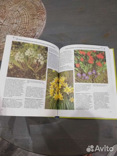 Книга “Альпийские горки в Вашем саду