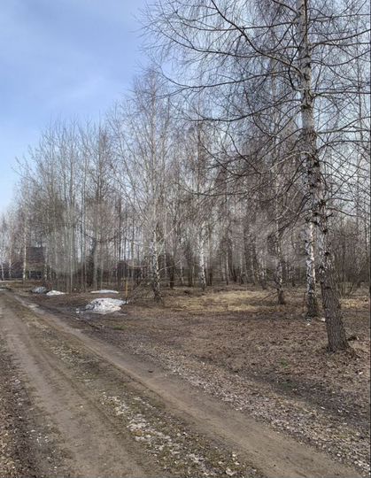 Участок 9 сот. (СНТ, ДНП)
