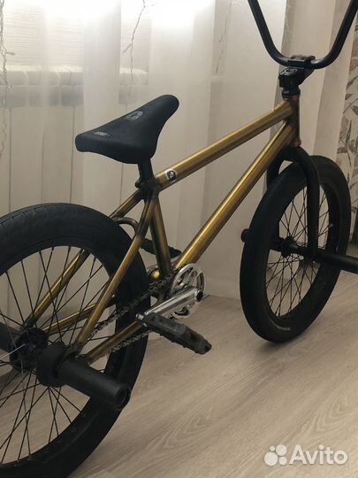 BMX Custom WTP/eclat