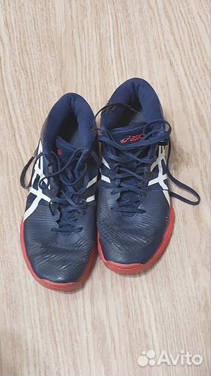 Волейбольные кроссовки asics sky elite