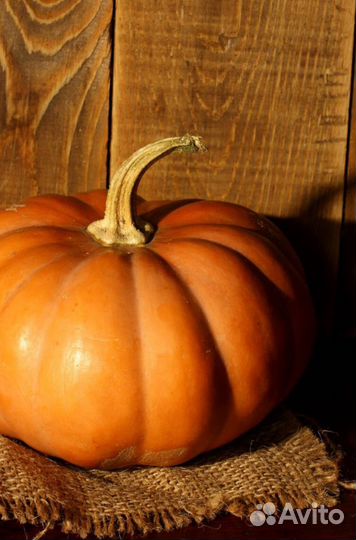 Семена тыквы