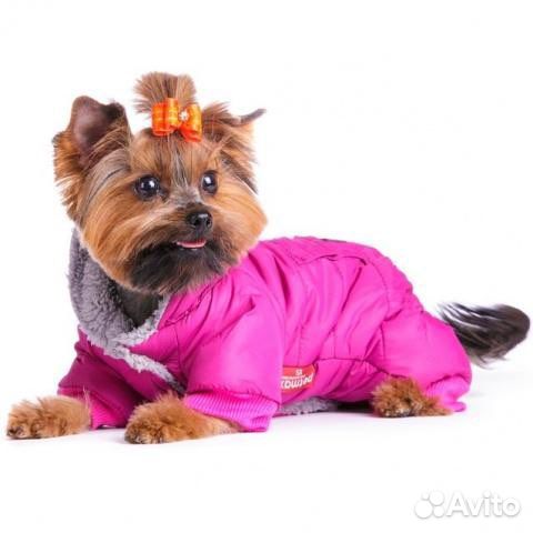 Комбенизон для собак Petmax