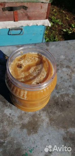 Мёд Алтайский