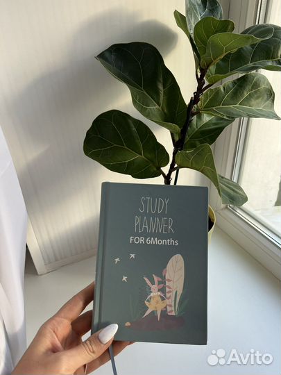 Планер / Ежедневник