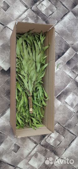 Веники для сауны и бани эвкалиптовые